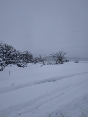 Прикрепленное изображение: 123.jpg